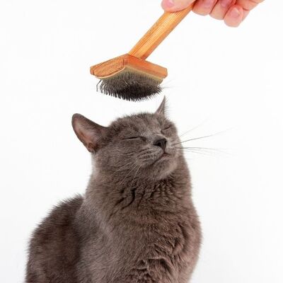 <p><strong>Tüy</strong></p>