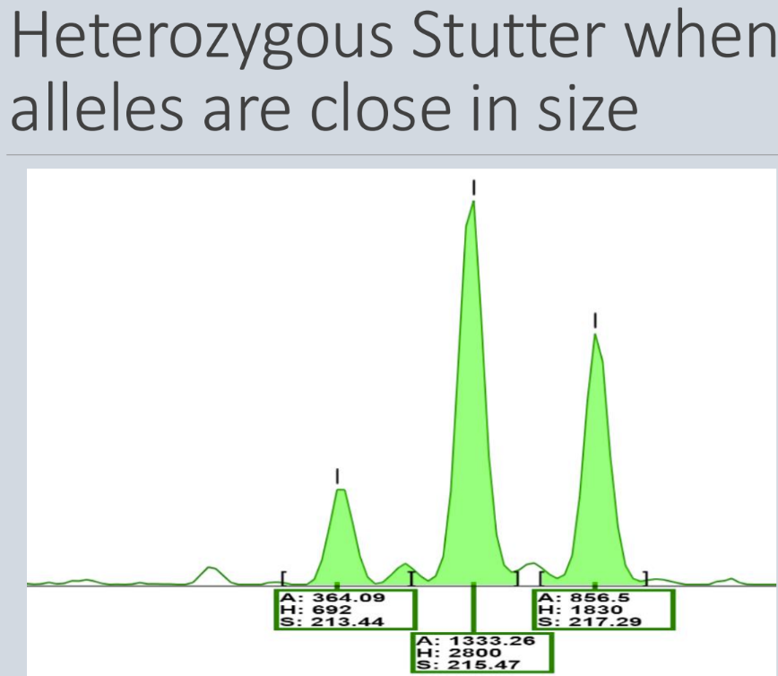 <p>Far right 2 are the true</p>