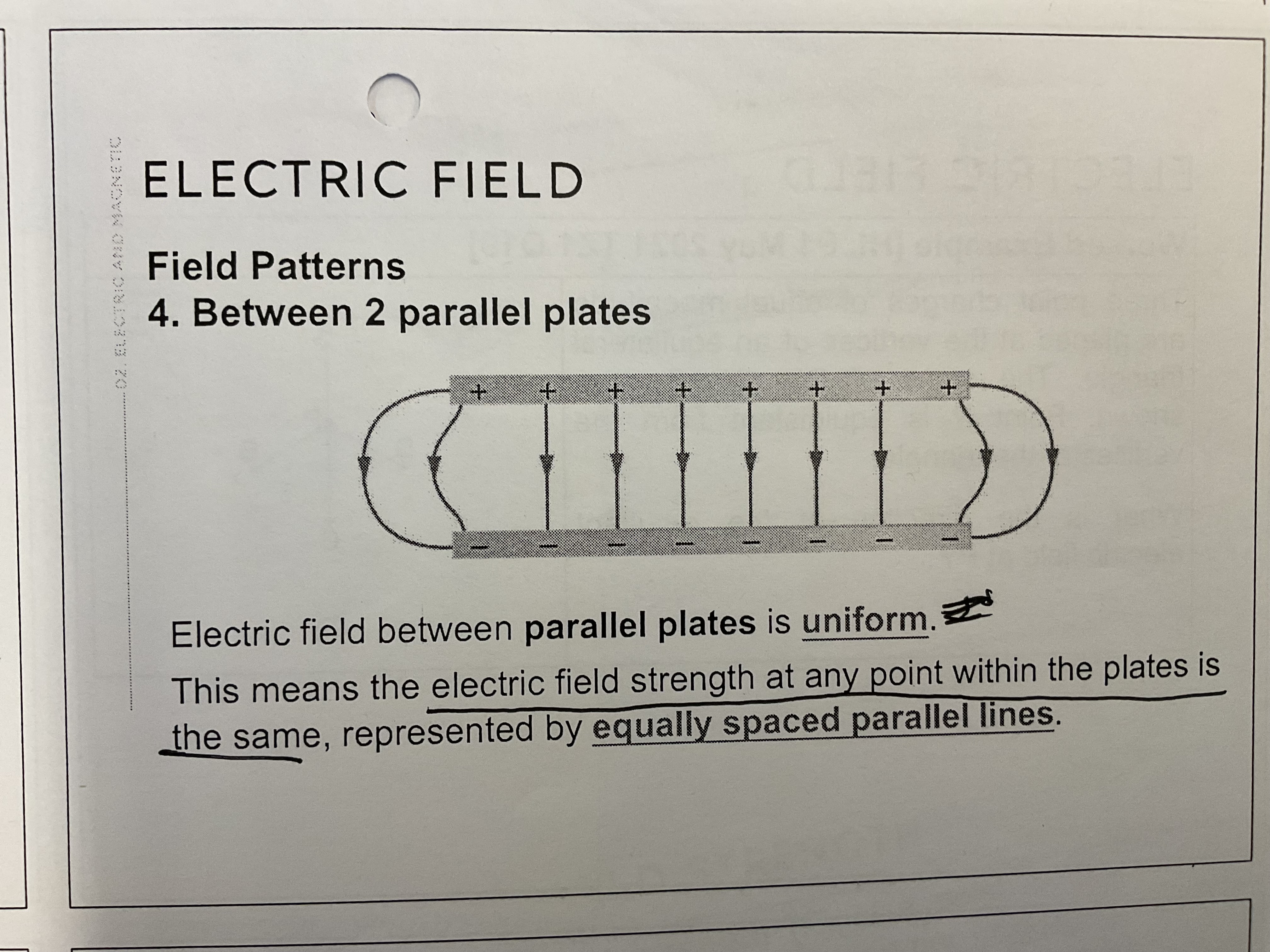 <ul><li><p>equally spaced lines → uniform, regardless of the charged particle’s distance from either plate</p></li><li><p>magnitude E of electric field strength is uniform E = V / d (units: V m^-1, this formula only applies to parallel plates)</p><ul><li><p>V is potential difference between plates (magnitude only, no sign</p></li><li><p>d is perpendicular distance between the plates</p></li></ul></li><li><p>from positive to negative, since potential decreasing</p></li></ul>