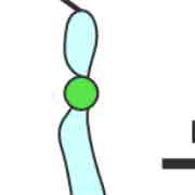 <p>What structure is this?</p>