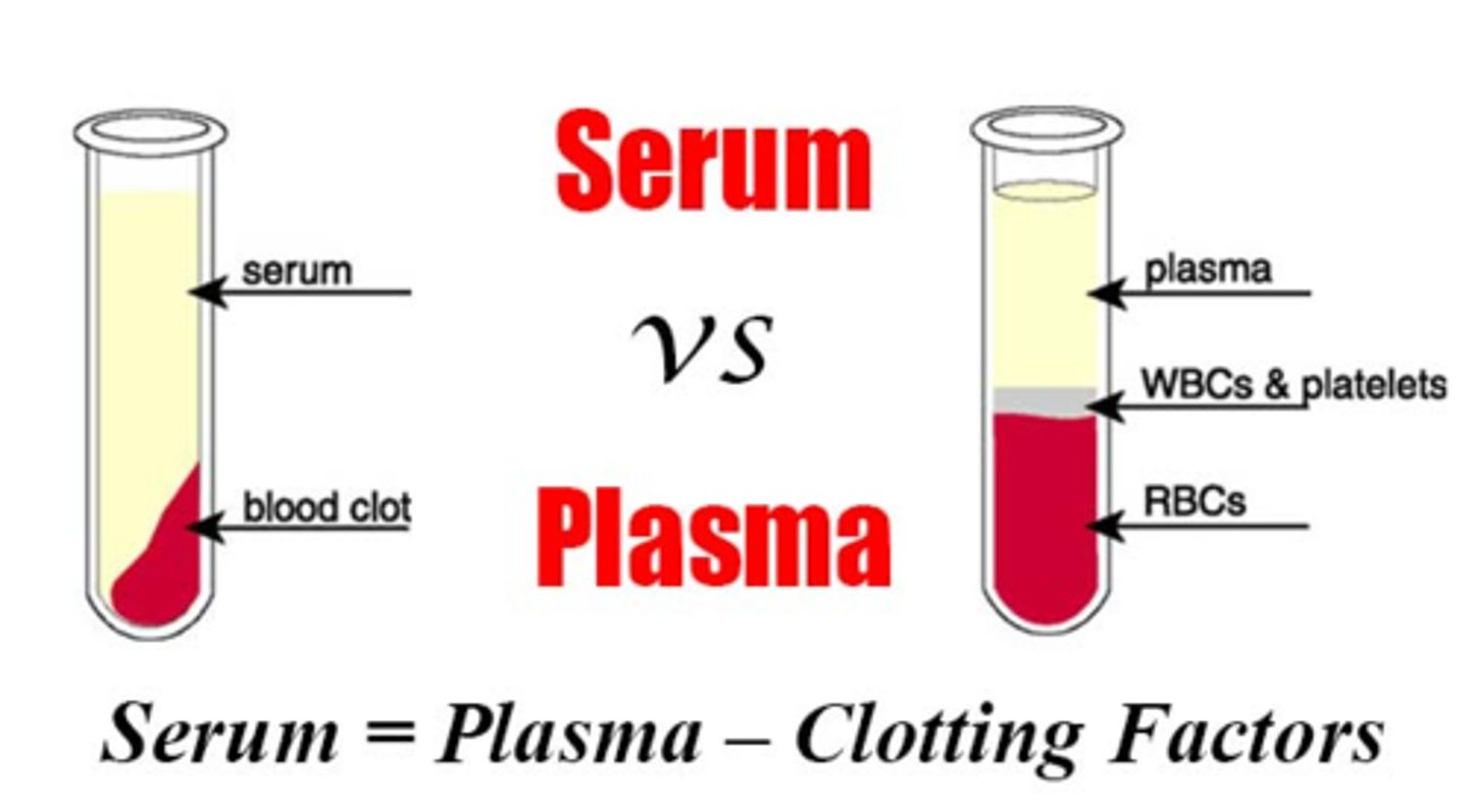 <p>Plasma: the liquid part of blood with clotting factors but is treated with anti-coagulants so it doesn't clot</p><p>- plus clotting factors</p><p>Serum: the liquid part of blood with no clotting factors</p><p>- subtract clotting factors</p>