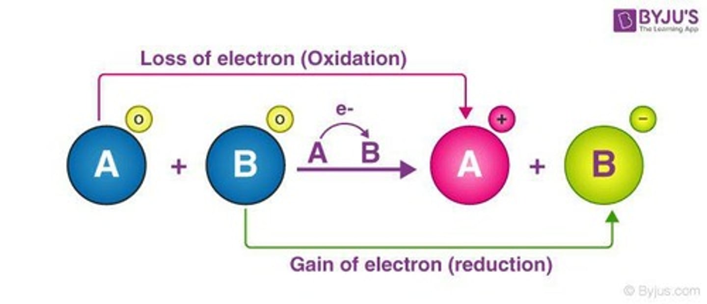 <p>The process where an atom loses electrons.</p>
