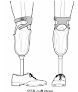 <p><span style="color: red;">flexion, M/L</span></p>