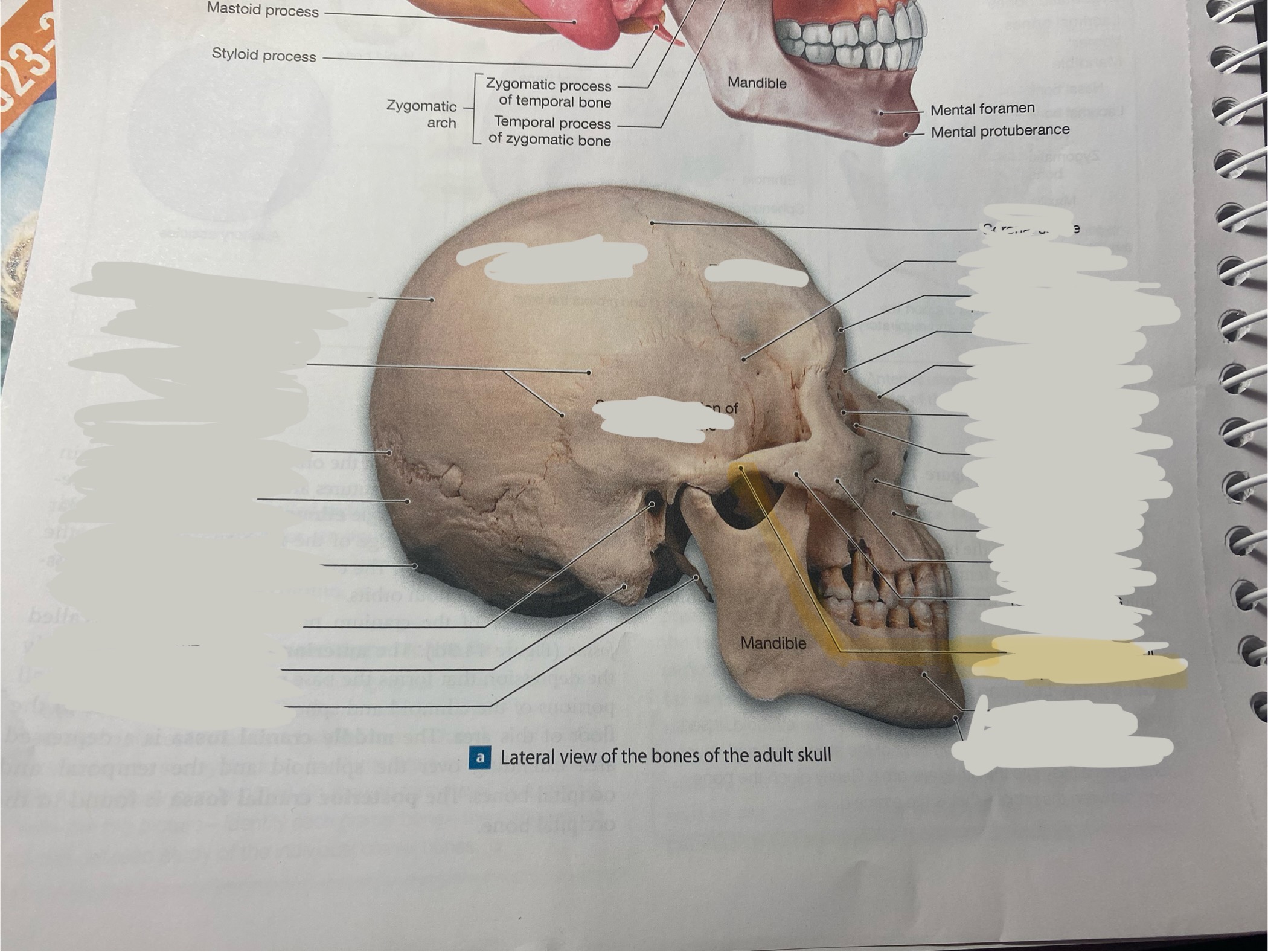 <p>what is this structure?</p>