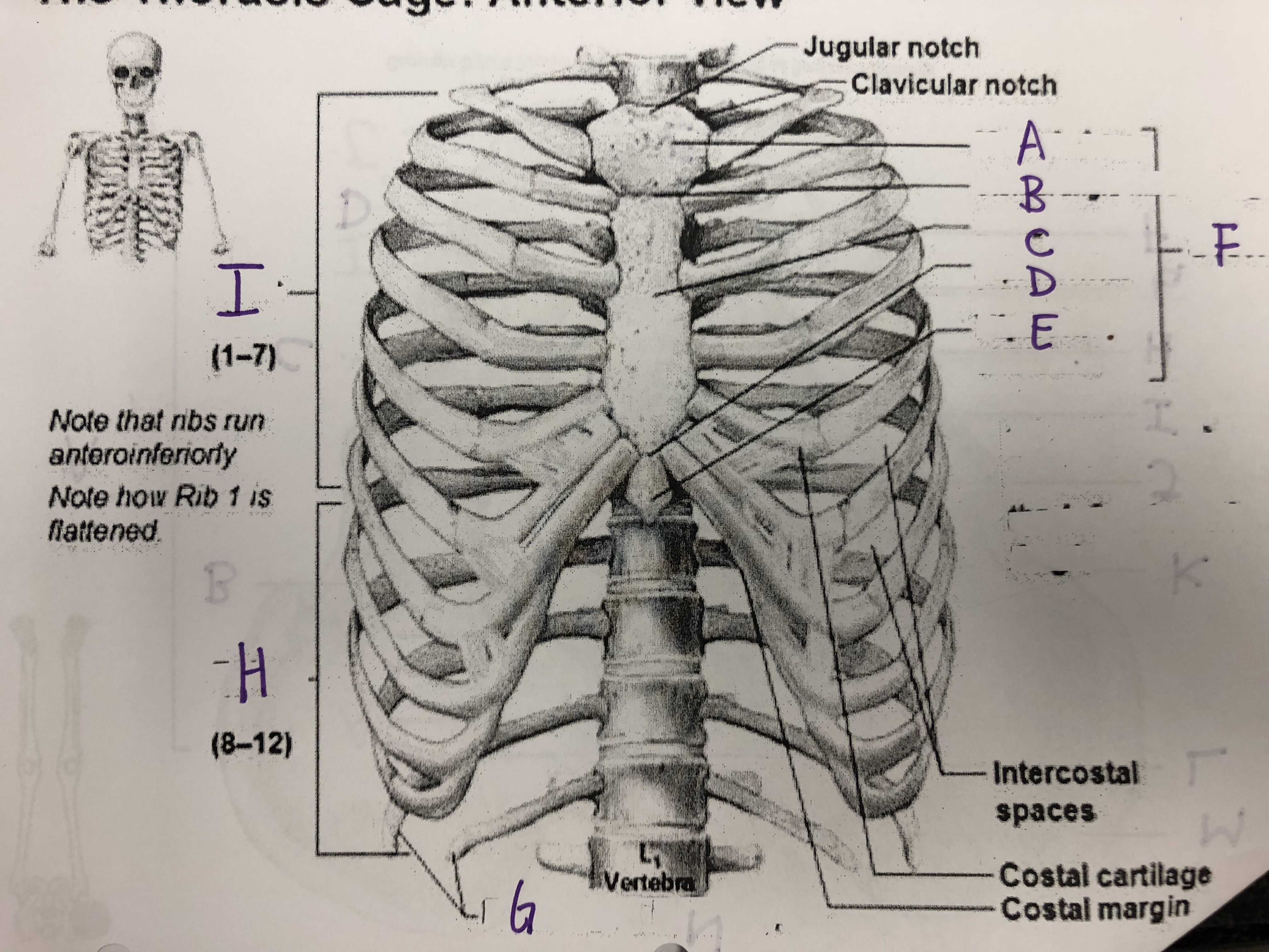 Letter H Represents