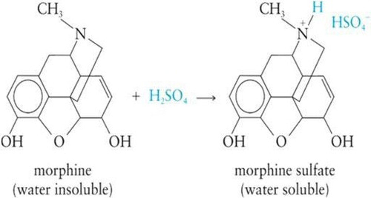 <p>More soluble in water than parent amines.</p>