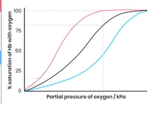 <p>Explain how organisms can be adapted to their environment by having different types of haemoglobin with different oxygen transport properties</p>