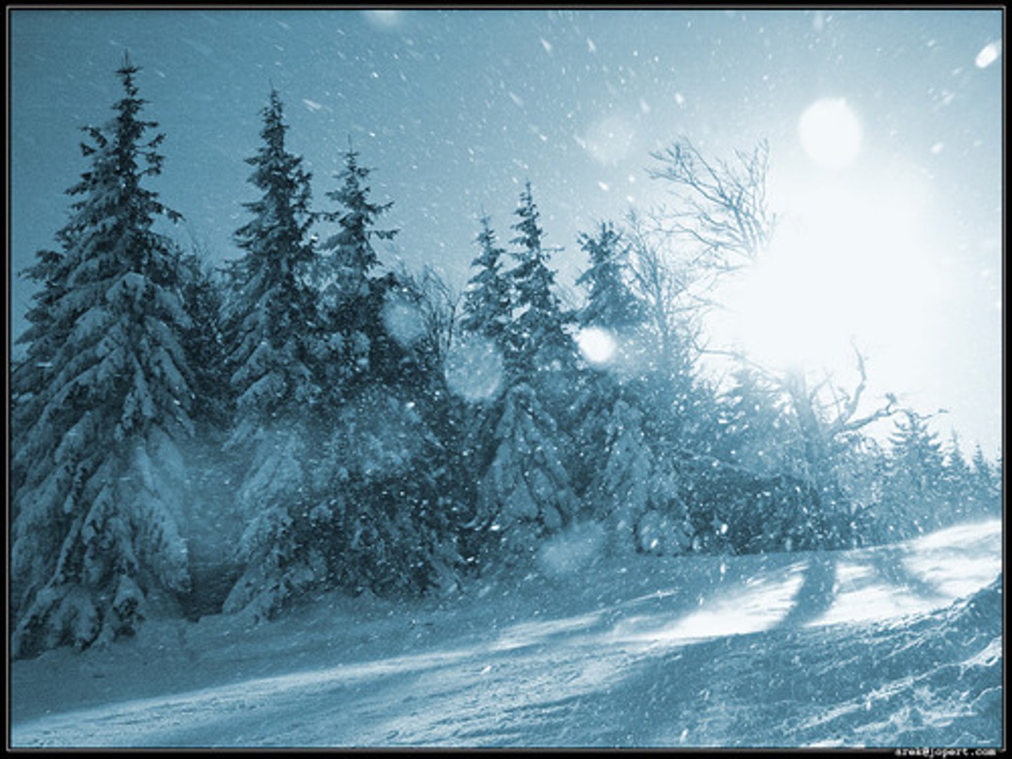 <p>Very cold and severe winter weather</p>