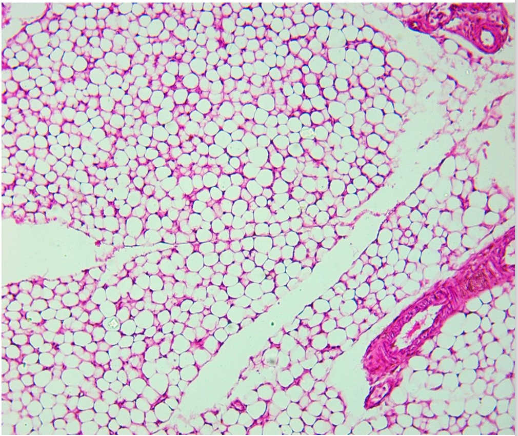 <p>identify </p><p>mention one site </p>