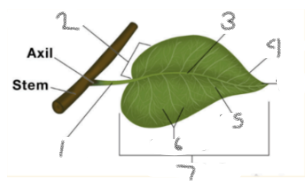 <p>what is 5</p>