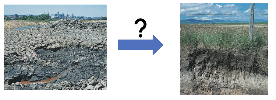<p>how is <strong>soil formed?</strong></p>