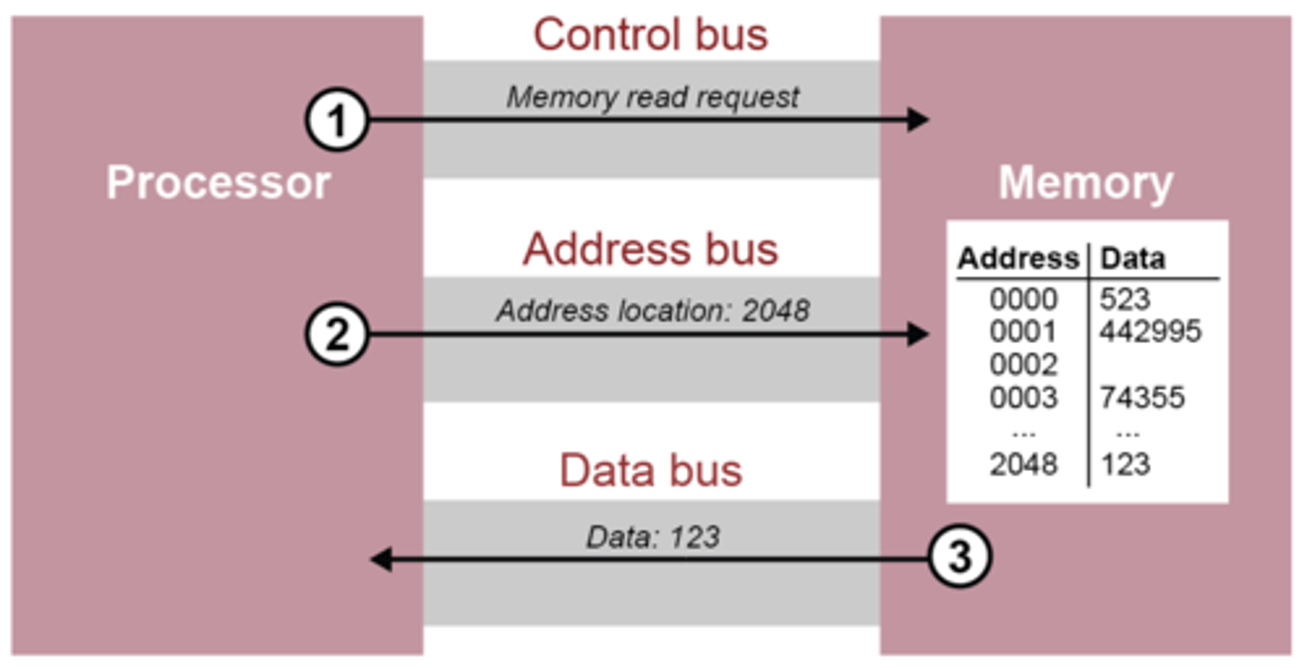 <p>Used to transfer data between the processor and memory/input and output devices</p><p>The width of the data bus is defined by the number of wires or lines it contains</p><p>Bus width affects overall system performance</p><p>Bi-directional bus</p>