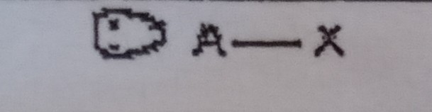 <p>What VSEPR shape has 1 bonding pairs and 1 lone pairs?</p>