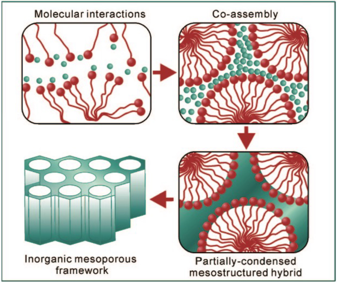 <ol><li><p>molecular interactions</p></li><li><p>co-assembly of surfactant + metal species</p></li><li><p>partially condensed mesostructured hybrid</p><ol><li><p>inorganic network starts forming but is not fully rigid; the surfactant template is still present, maintaining the structure</p></li></ol></li><li><p>inorganic mesoporous framework</p><ol><li><p>surfactant is removed</p></li></ol></li></ol><p></p>