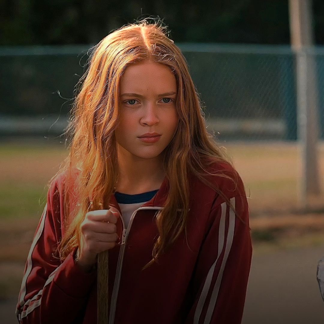 <p>identifies the material that will be covered in the advertising plan</p>