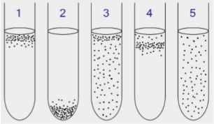 <p><span style="background-color: transparent;"><strong><span>1) Obligate Aerobes</span></strong><span>: oxygen-dependent and swim toward liquid–air interface</span></span></p><p><span style="background-color: transparent;"><strong><span>2) Obligate Anaerobes</span></strong><span>: oxygen-independent and swim deeper down, away from liquid–air interface</span></span></p><p><span style="background-color: transparent;"><strong><span>3) Facultative Anaerobes: </span></strong><span>Grow with or without O₂ but prefer O₂, so concentrated near the top but present throughout</span></span></p><p><span style="background-color: transparent;"><strong><span>4) Microaerophiles </span></strong><span>require low O₂ and form a sharp band at optimal depth</span></span></p><p><span style="background-color: transparent;"><strong><span>5) Aerotolerant Microbes: </span></strong><span>do not use O₂ but tolerate it and are evenly distributed.</span></span></p>