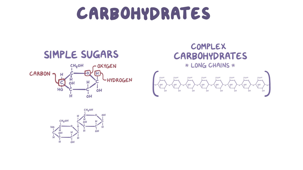 <p>quick energy and cell wall structure </p>