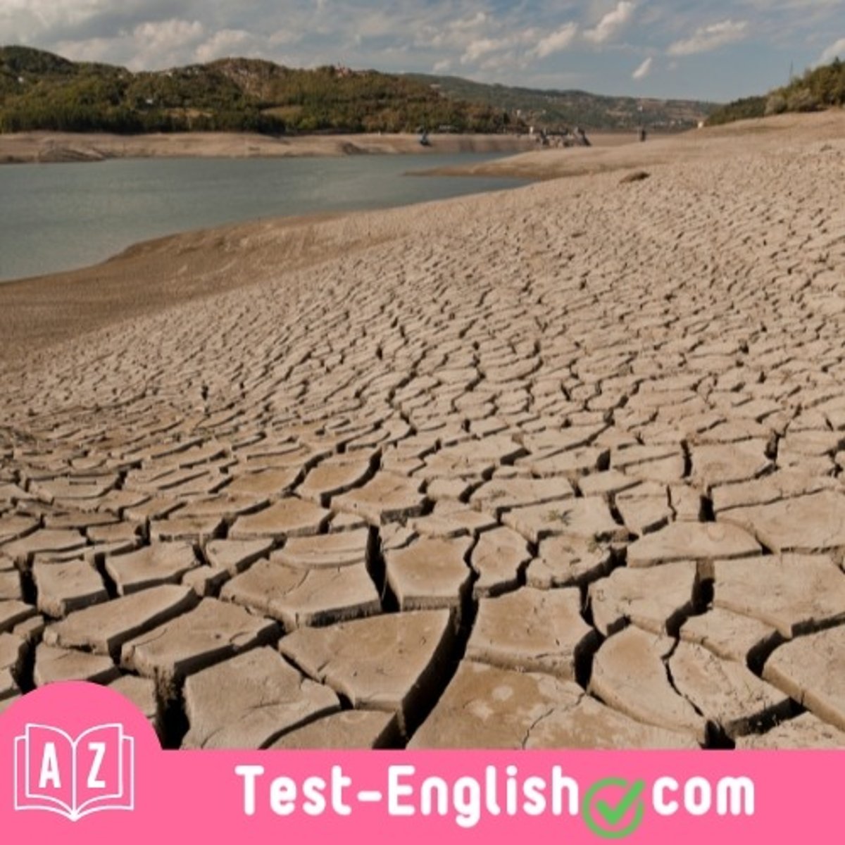 <p>The prolonged _____ led to water shortages in the region.</p>