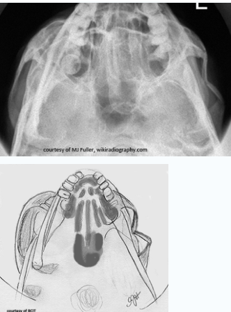 <p>which type </p>