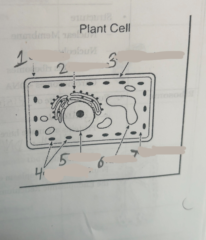 <p>What is number six</p>