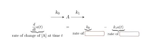 <p>This equation models…</p><ul><li><p>decay</p></li><li><p>production and decay</p></li><li><p>irreversible conversion</p></li><li><p>reversible conversion</p></li><li><p>enzymatic reaction</p></li><li><p>spatial reaction networks</p></li><li><p>stochastic system</p></li><li><p>predator-prey relationship (Lotka-Volterra)</p></li></ul><p></p>