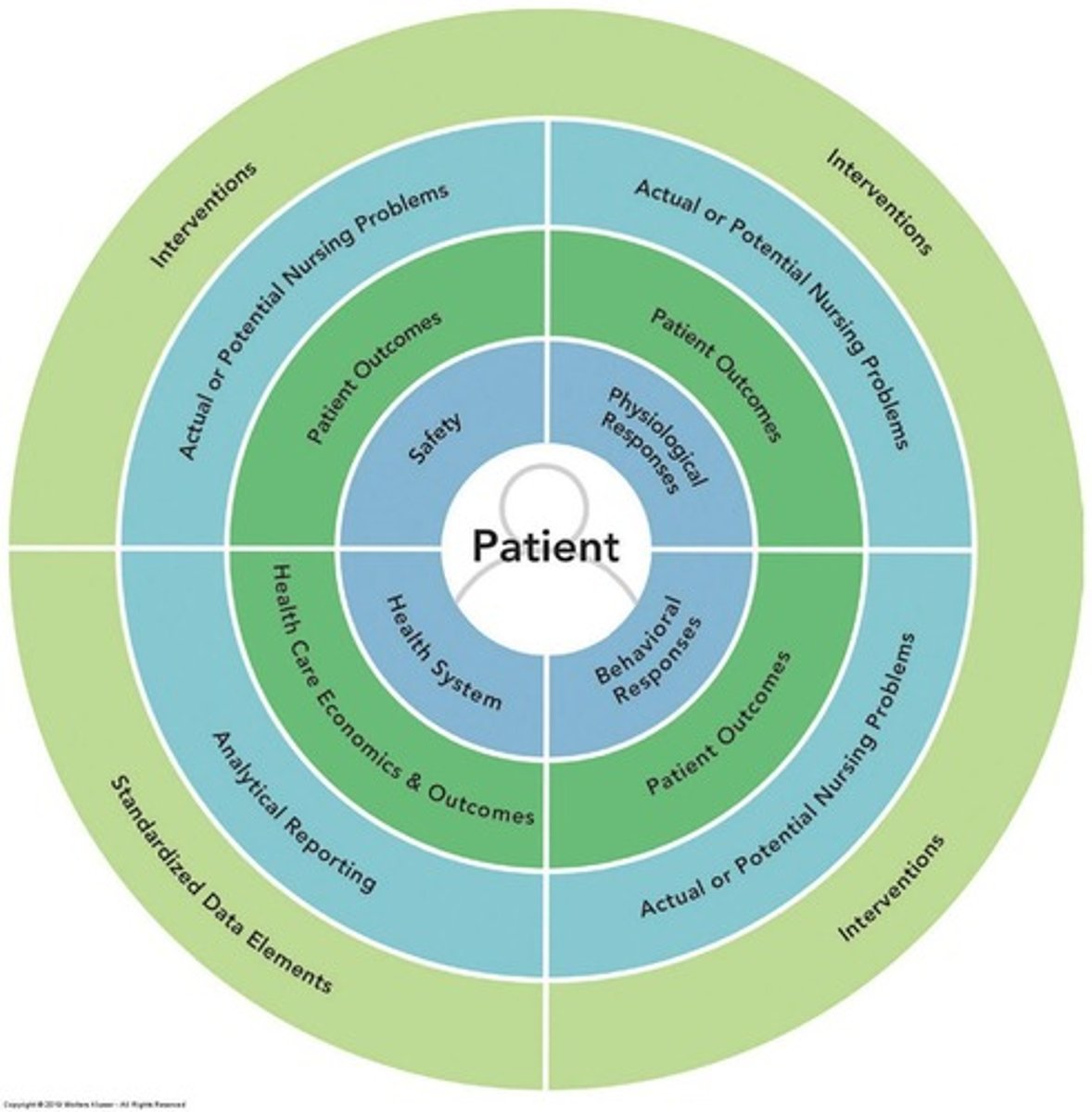 <p>Nursing diagnosis classification system for patient care.</p>