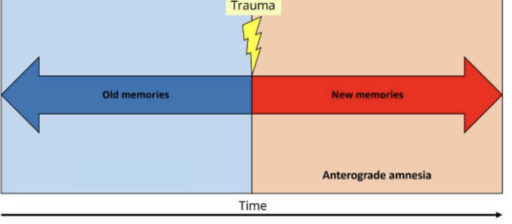 <p>is the INABILITY to <strong>form new memories.</strong></p>