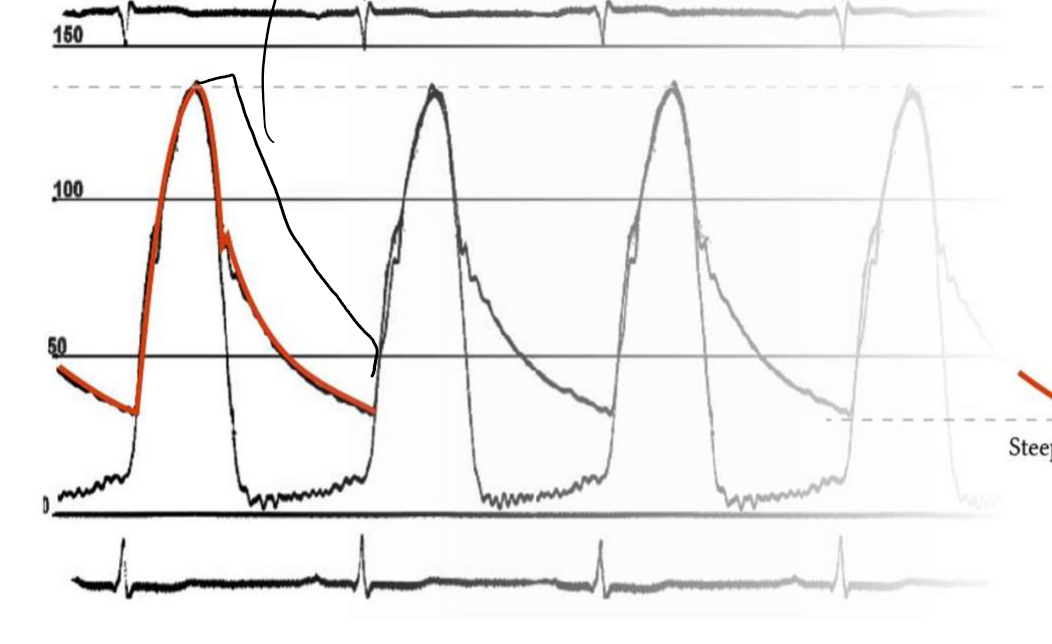 <p>What does this indicate</p>