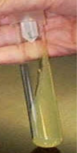 <p>Name the media form</p>