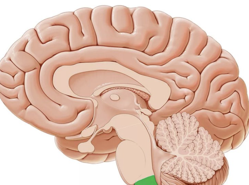 <p>Name this plane</p>