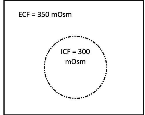 <p> Will osmosis occur? In which direction? Will the cell volume increase or decrease? </p>