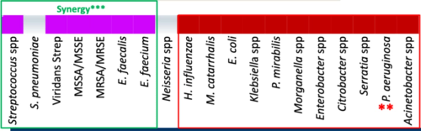<p>• Anaerobes: -/-</p><p>• Miscellaneous: </p><p>- Synergy for gram-positives with cell wall active agent</p><p>- Amikacin active against Mycobacteria</p><p>- Not active against Stenotrophomonas</p><p>• Coverage - Everything except S. pneumoniae, and Neisseria spp</p>