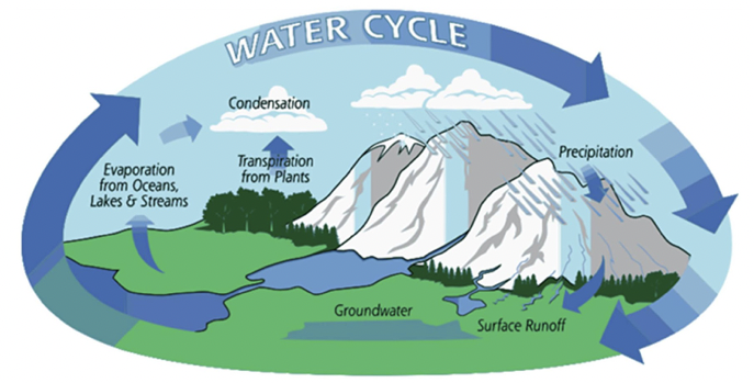 <p>water cycle</p>