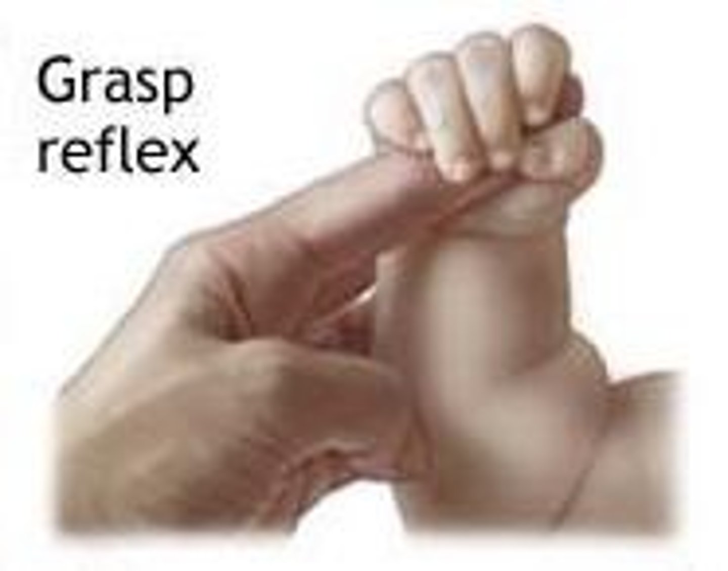 <p>apply pressure to palm of hand; finger flexion to grasp object in palm</p>