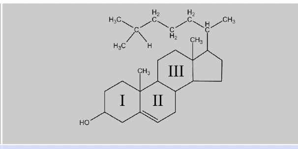 <ul><li><p>Lipids with a structure of 4 fused carbon rings</p></li><li><p>Cholesterol is a component of animal cell membranes + helps regulate membrane fluidity</p></li><li><p>Some steroids (steroid hormones) are lipid-soluble and can diffuse through the phospholipid bilayer to bind to intracellular receptors</p></li><li><p>Act mainly as signalling molecules in organisms </p></li></ul><p></p>
