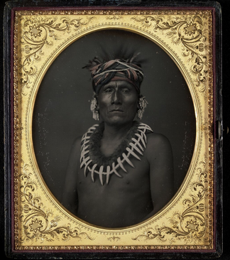 <p>Kno-Shr, Kansas Chief</p>