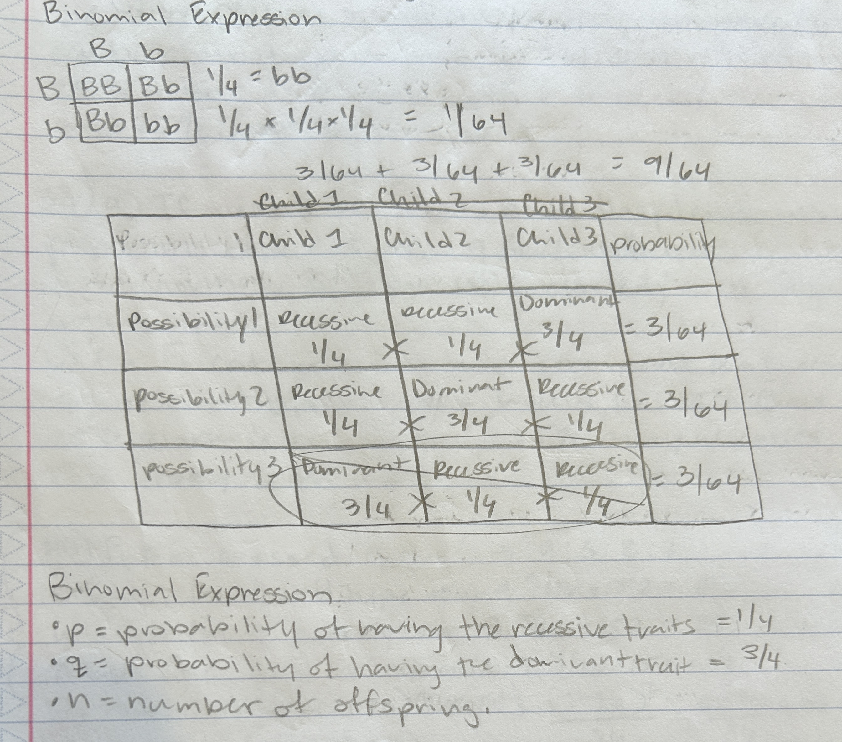 <p>p = probability of having the recessive trait</p><p>q = probability of having the dominant trait</p><p>n = number of offspring</p>