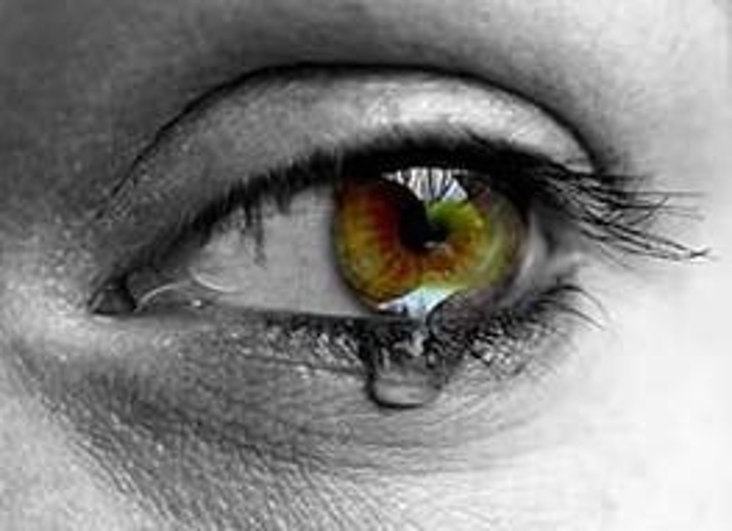<p>a tear</p>