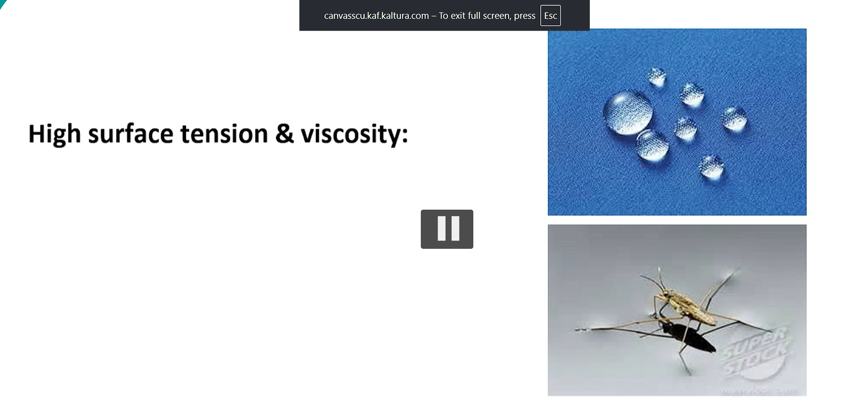 <p>water also has high surface tension and viscosity due to hydrogen bonding. </p><p>surface tension allows water to resist external forces (this is why droplets form and why small insects can walk on water) </p>