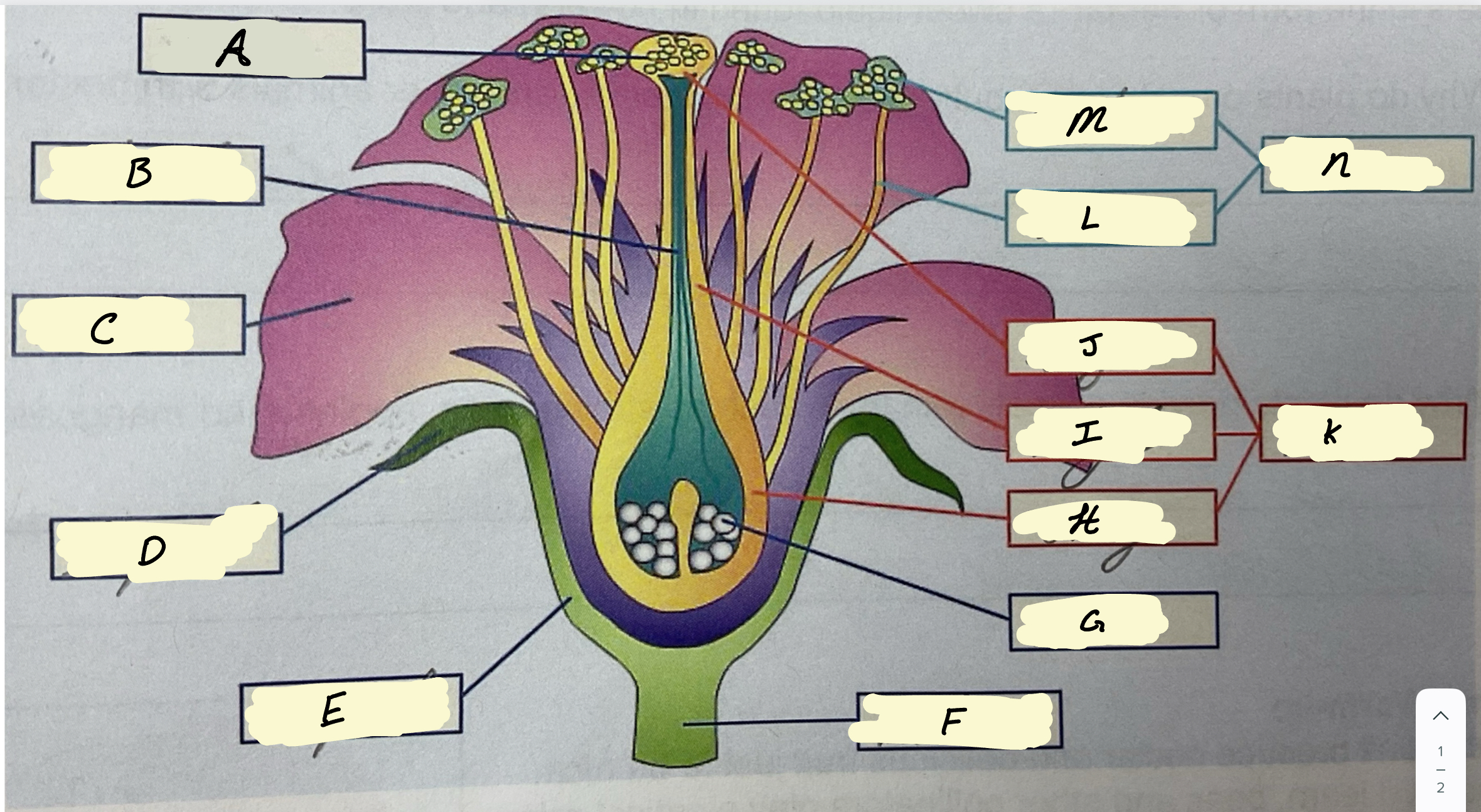 <p>What’s G and what’s its function?</p>