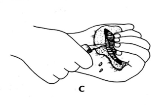 <p>Vad kallas denna tekniken?</p>