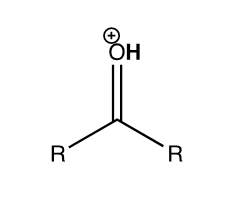 <p>protonated ketone</p>