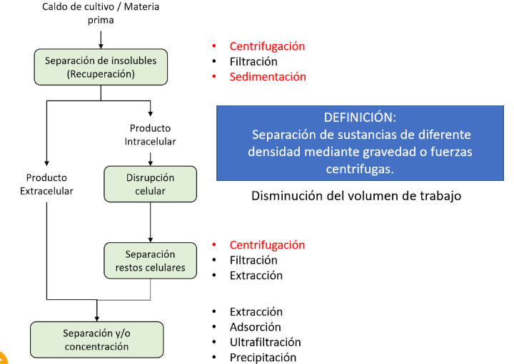 <p>Separación de insolubles (recuperación)</p>