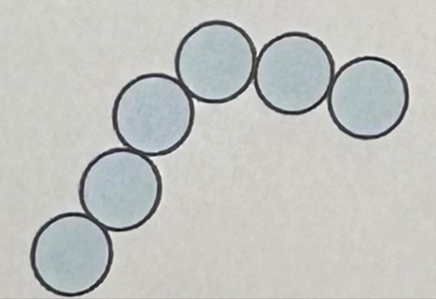 <p>Which arrangement of cocci is this?</p>