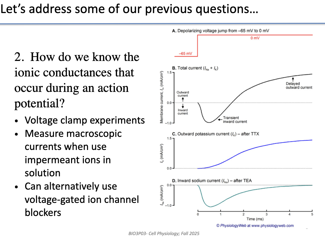 <ul><li><p>Determined using <strong>voltage clamp experiments</strong></p></li><li><p>Measure <strong>macroscopic ionic currents</strong></p></li><li><p>Use <strong>impermeant ions</strong> in solution to isolate specific ion effects</p></li><li><p>Can also apply <strong>ion channel blockers</strong> (e.g., TTX for Na+, TEA for K+)</p></li></ul><p></p>