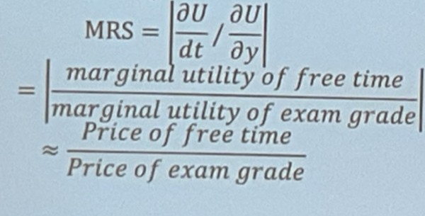 <p>Measure of the trade-off someone is willing to make (eg. between consumption and free-time)</p>
