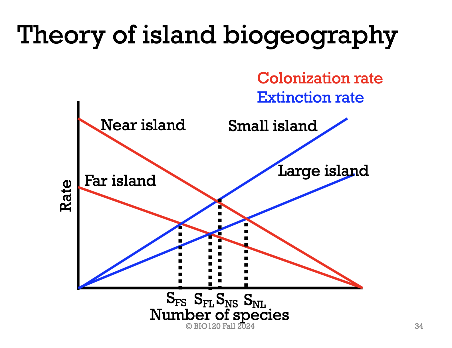 <p>To be able to predict the number of species on an island based on the island’s size and isolation (distance from the mainland).</p><p>*they also ignored in-situ speciation</p>