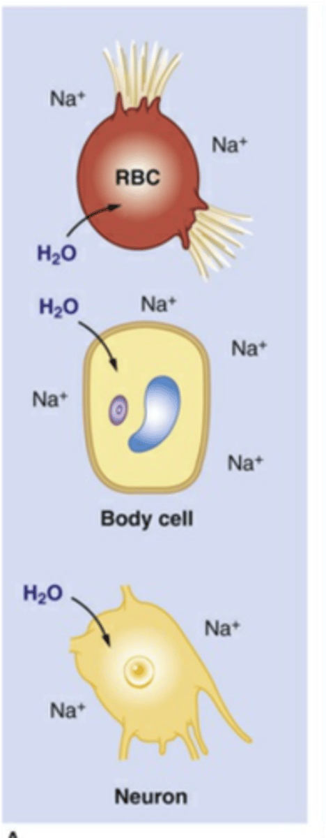 knowt flashcard image