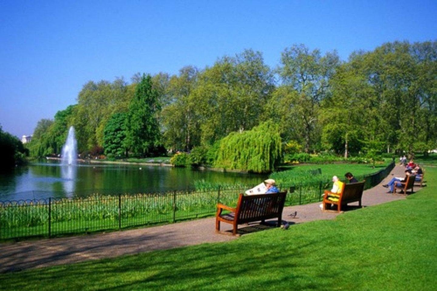 <p>park</p>