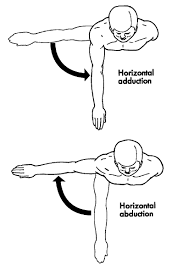 <p><span>horizontal adduction</span></p>